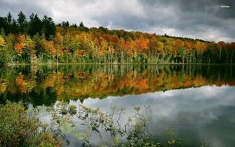 Perfect Reflection Of The Autumn Woods Wallpaper