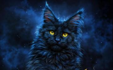 Wallpaper Black Cat 3d Art Darkness Pets With