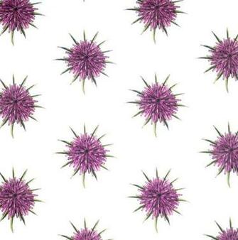 Abnormals Anonymous This Ll Wallpaper In Be My Year Contemporary