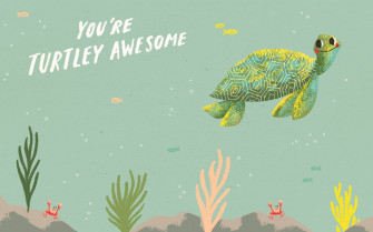 Cute Turtle Wallpaper