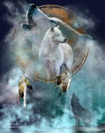 Dream Catcher Series Dc Spirit Wolf
