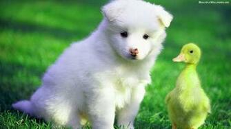 HD Wallpaper World