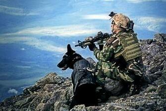 Navy Seal Team Wallpaper Image Pictures Becuo