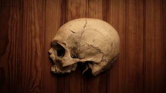Wallpaper Skulls Wood Human Bones Body Half
