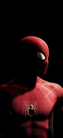 Spiderman Marvel Phone Wallpaper Superhero
