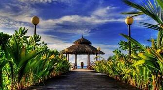 Best Resorts In Punta Cana Search The