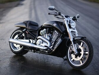 Rod Muscle Vrscf