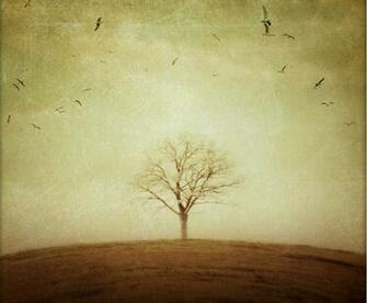 Landscape Wall Mural Wallpaper Murals