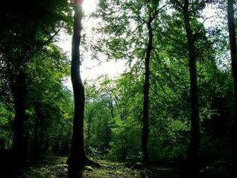 Iran Nature Desktop Pc And Mac Wallpaper