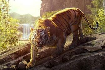 Tiger Pics Wallpaper