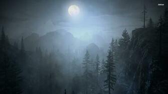 Fog Forest Night HD Wallpaper Background Image