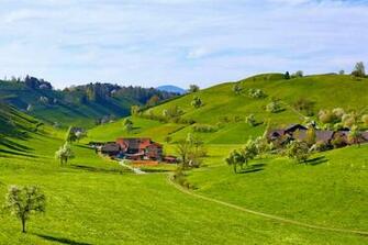 Trees Hills Sky Beauty Farm Green Grass Spring Wallpaper Background