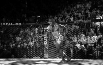 Ufc Mma Fighting Martial Arts Wrestling Boxing Wallpaper Background