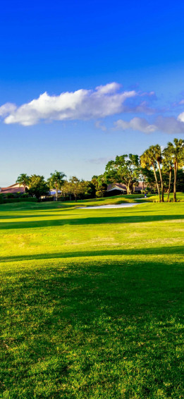 iPhone X Golf Course Background Wallpaper