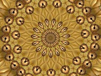 Pumpkin Mandala Stock Photos Rgbstock Image