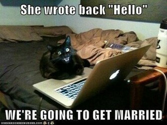 Lolcats Desktop Wallpaper
