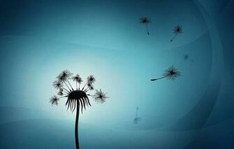 Wallpaper Dandelion The Wind Figure Plant Part Lush Fly