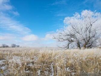 Picture Landscape Wallpaper National Geographic Photo Of The Day