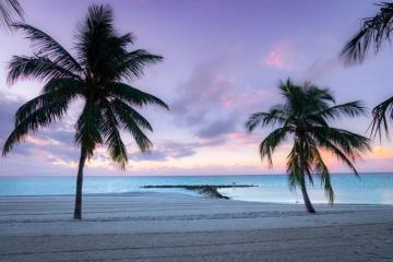 Mike O Shell Photography Florida Landscape