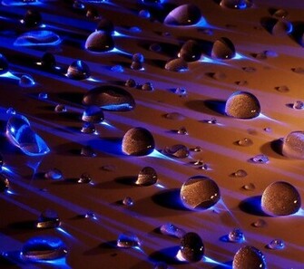 HD Wallpaper Hot Mobile Phone