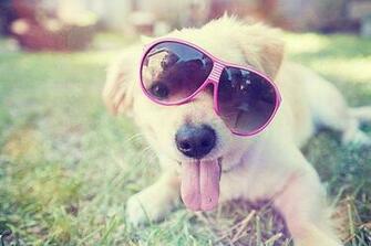 Cool Background For Girls Best Camera Wallpaper Imagenes
