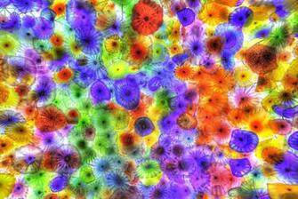 Wallpaper Jellyfish Colorful Bright Background HD