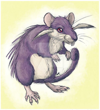 Rattata Pokemon Wallpaper Image