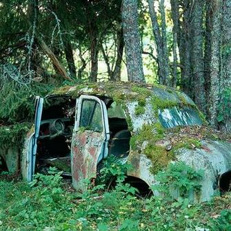Photo Wallpaper Abandoned Car Scandiwall