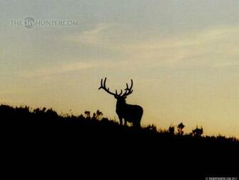Browning Buck And Doe Symbol