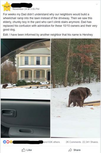 I Saw This Gem In A Dogspotting Group Hershey S Loving