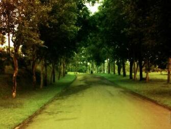 Wallpaper Zh Nature Background