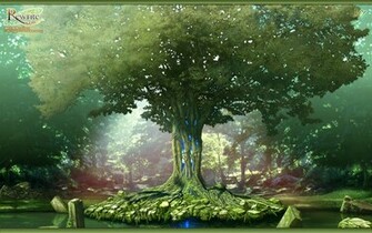 Forest Computer Wallpaper Desktop Background Id