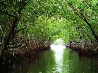Everglades City Photos Featured Image Of Southwest