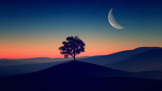 Tree Alone Dark Evening 4k Wallpaper HD Nature