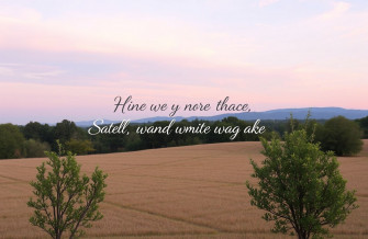 Aesthetic Quotes Wallpaper