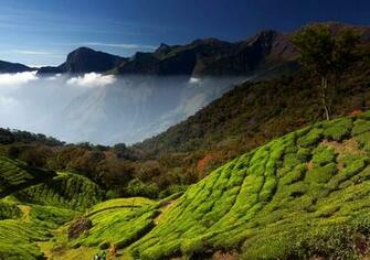 Kerala India Wallpaper
