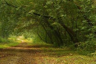 Desktop Background HD Creative Wallpaper Jpg X