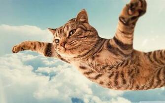 I Belive Can Fly 4k HD Desktop Wallpaper For Ultra Tv