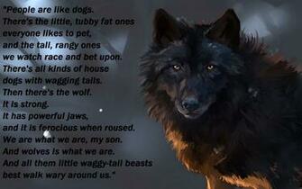 Wolf Wolves Predator Carnivore Typography Text Quote F Wallpaper