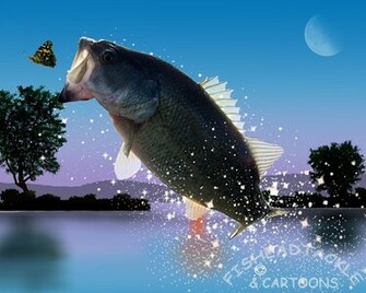 Labrax Striped Bass Morone Saxatilis And White M Chrysops Fit