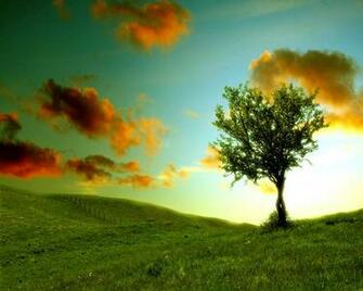 Beautiful Wallpaper For Desktop Best Photography