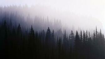Fog Computer Wallpaper Desktop Background Id