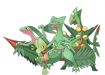 Treecko Evo HD Wallpaper Background