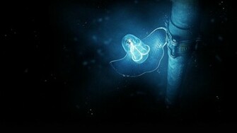 Best Browser Themes Desktop Background