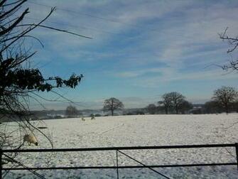 Snowy Field Wallpaper