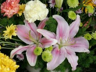 Lily Flower Wallpaper