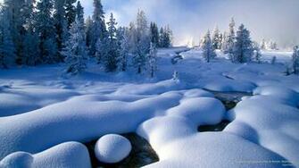 Webshots Yellowstone National Park In Winter Wyoming
