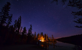 Pine Trees Under Starry Night Wallpaper HD Nature 4k