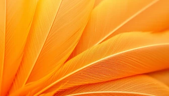 Orange Feather Wallpaper