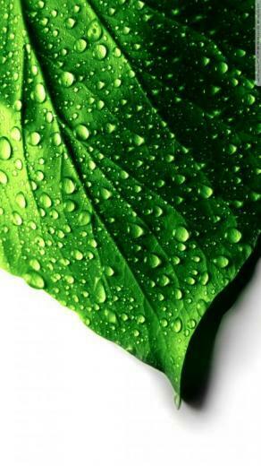HD Wallpaper For Mobile Phones